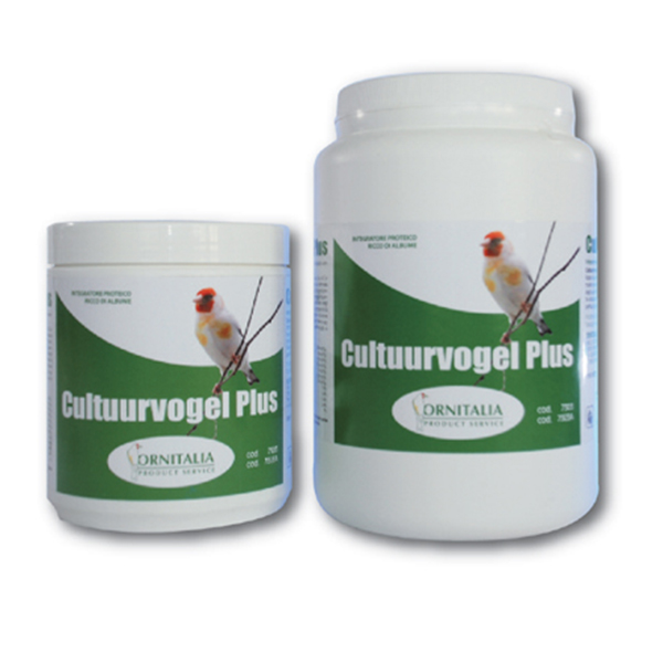 cultuur plus