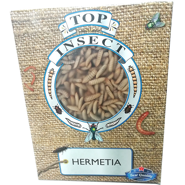 hermetia