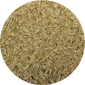 certified machine grass